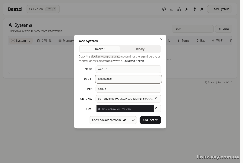 Діалог Add System - звідси беремо Public Key і Token для агента